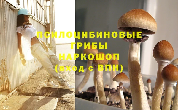 кокаин перу Каменка