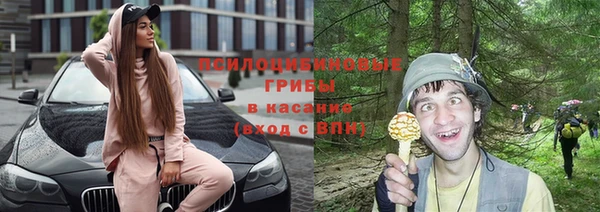 дмт Карталы