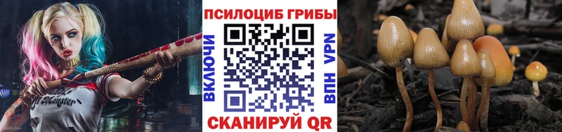 Псилоцибиновые грибы Psilocybine cubensis  Купить закладки  Ефремов 